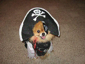 pirat.png